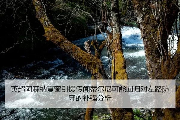 英超阿森纳夏窗引援传闻蒂尔尼可能回归对左路防守的补强分析